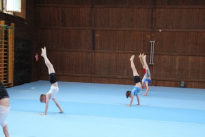 IMG 0332